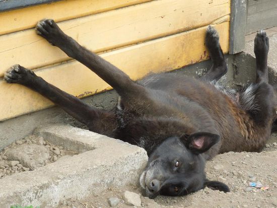 Alles gaaanz relaxt ....