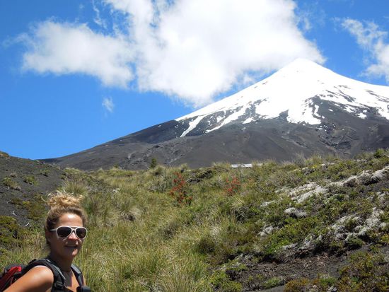 Ein Wandervogel am Fuss des Osorno