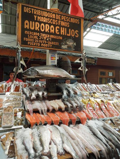 Fischers Fritz fischt frische Fische, frische Fische ...