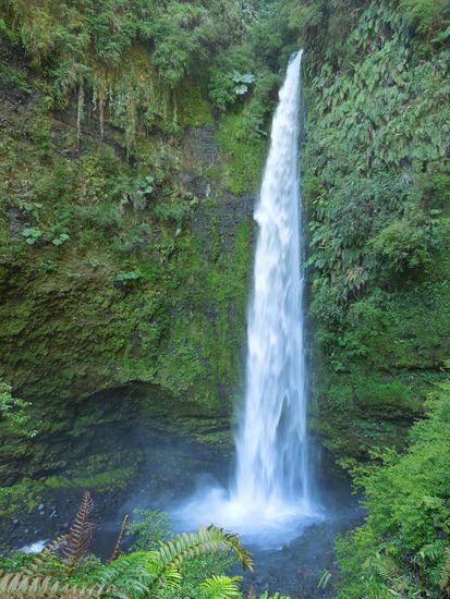Genial grün die Natur um den Wasserfall herum