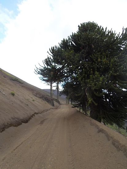 Erdige Wege für`s Bussli