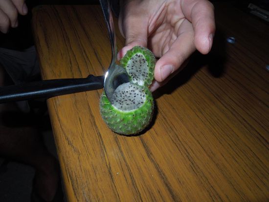 Copao - eine Vitamin C-reiche Kaktusfrucht