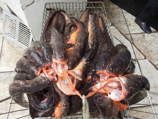 Wir haben fleissig geshoppt 