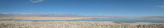 Laguna Chaxa im Salar de Atacama