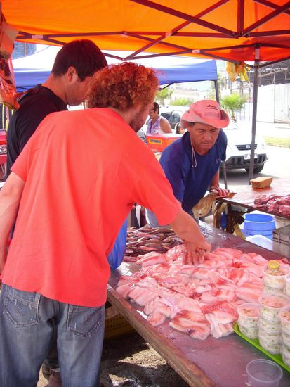 Fischmarkt - nicht nur wir waren an frischem Fisch interessiert ...