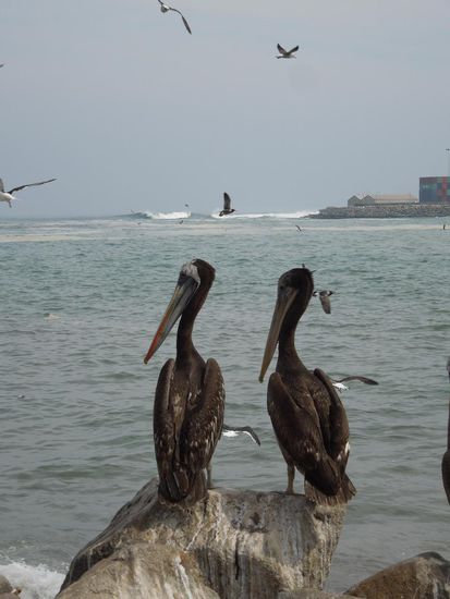 ... es war genug für alle da 