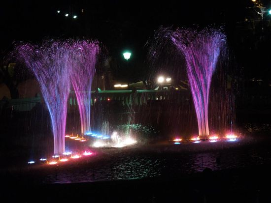 Geniale Show mit musikalischer Begleitung