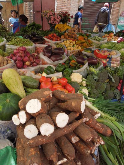 Maniok, Tomaten, Zucchini, Rübli - eine Riesenauswahl