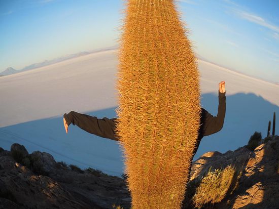 Ein Kaktusmensch beim Sonnenaufgang 