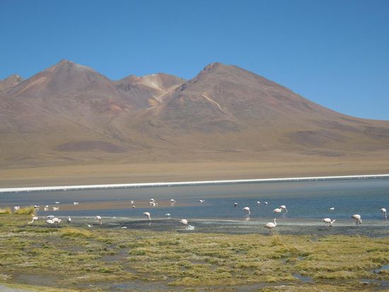 Laguna Cañapa