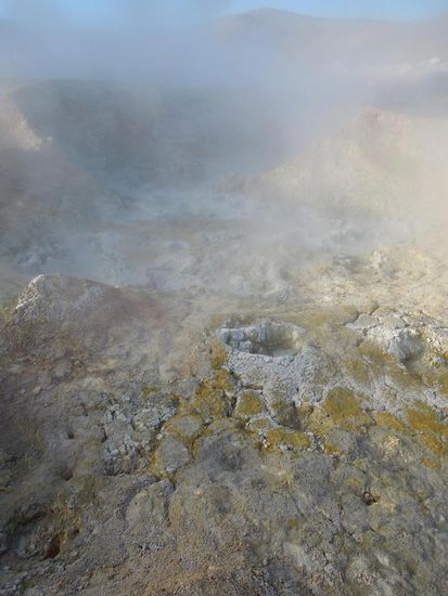 Schaut giftig aus ...