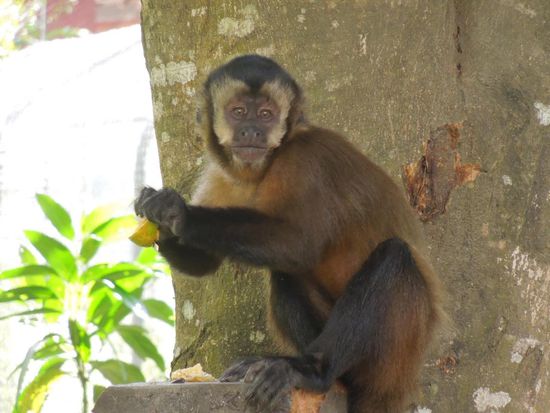 Ein aufgewecktes Kerlchen 
