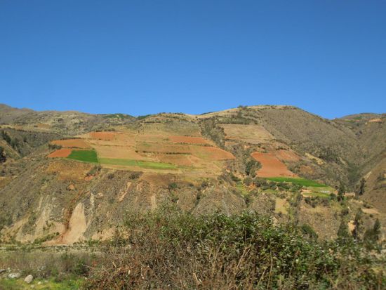 Terassenförmig werden die Felder angelegt