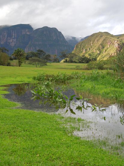 Viel Grün im Amboro Nationalpark