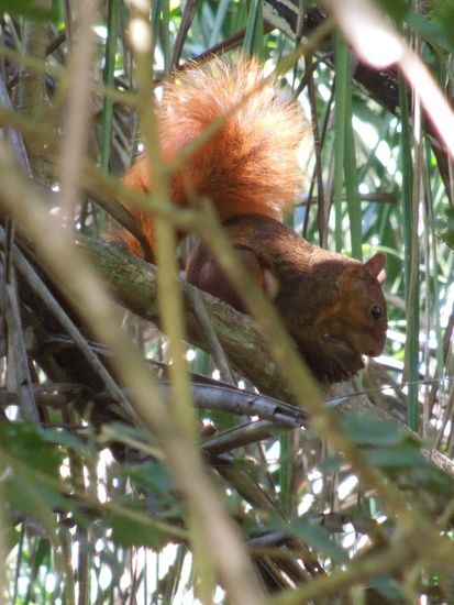 Hier findet jeder was Leckeres zum Knabbern ...