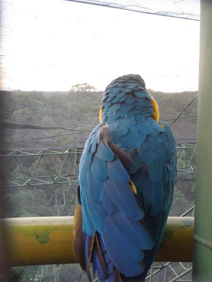 Zusammen mit gefiederten Farbpunkten genossen wir