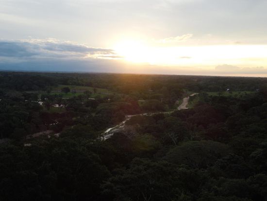 die Abendstimmung im Grünen ...