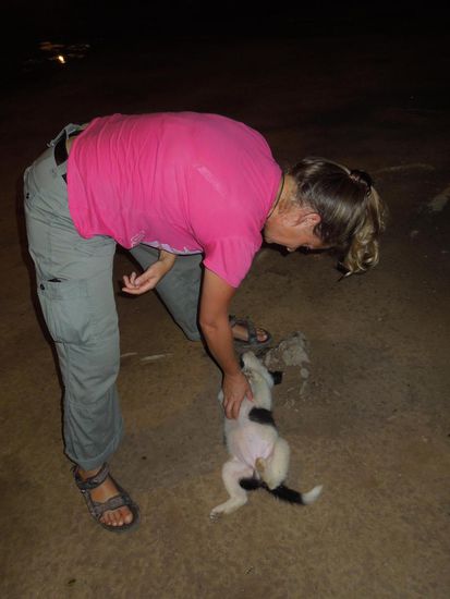 Begegnung mit dem ersten Paraguayer - sehr flauschig