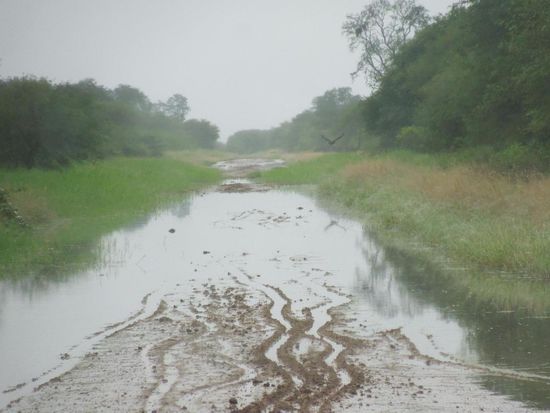 "Durch dieses Wasser muss er schwimmen ..."