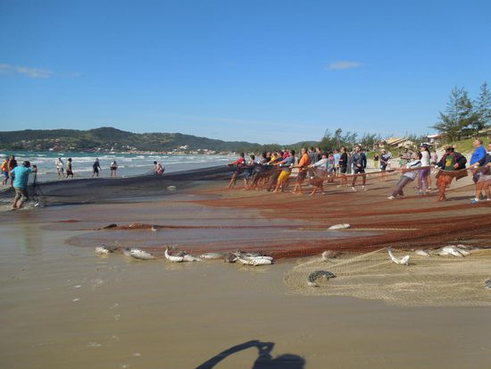 Das ganze Dorf hilft mit ...