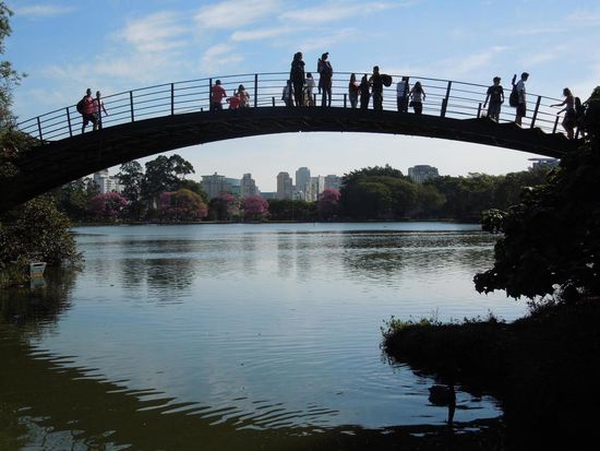 Viele Erholungswütige im Park Ibirapuera