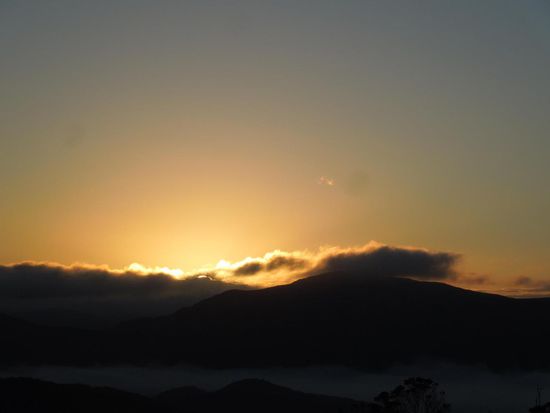 Der frühe Vogel fängt den Wurm ... wunderschöner Sonnenaufgang