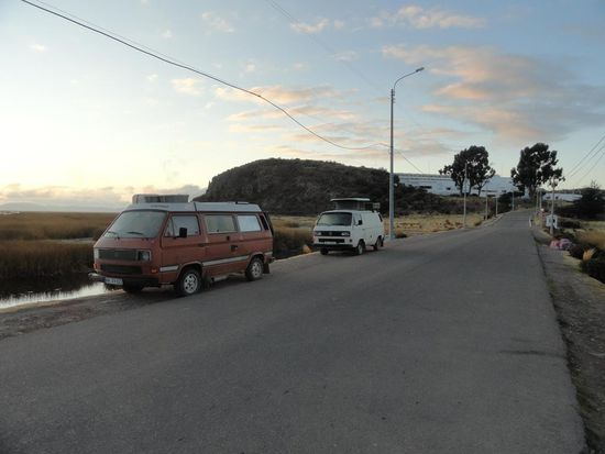 Bussli hat einen Gleichesinnten in schokoladenbraun getroffen.
