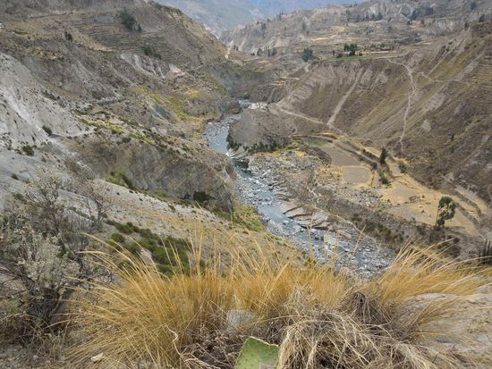 Blick auf den Río Colca.