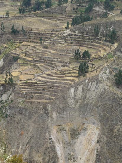 Landwirtschaftlich wird jeder kleine Zipfel des Cañón genutzt.