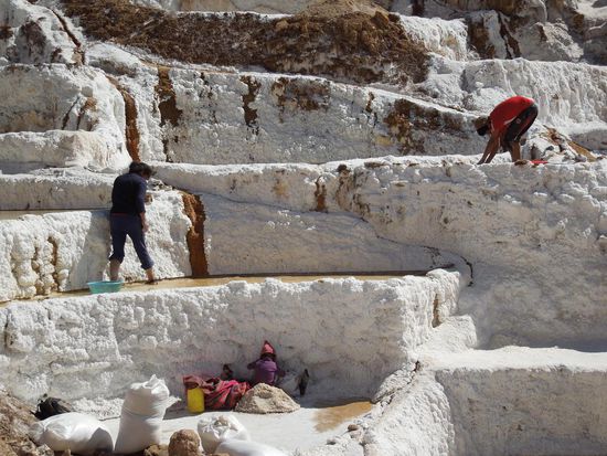 Mit den Füßen wird das Salz gelockert und dann mit einer Art Sieb zusammengekratzt und auf einem Haufen gesammelt - Familienbeschäftigung!