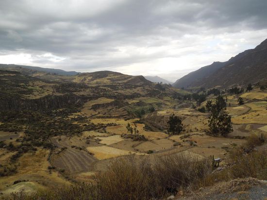 und gegen Abend gab es stabiles Wetter und einen toller Blick auf den terrassenförmigen Ackerbau.