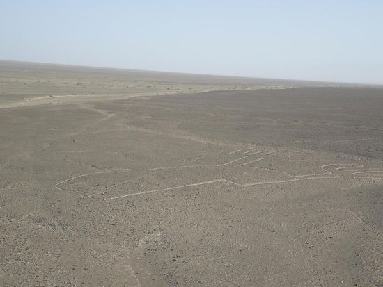 Ganz deutlich hier zu erkennen: ein Frosch 
Oder sind es doch erhobene Hände?