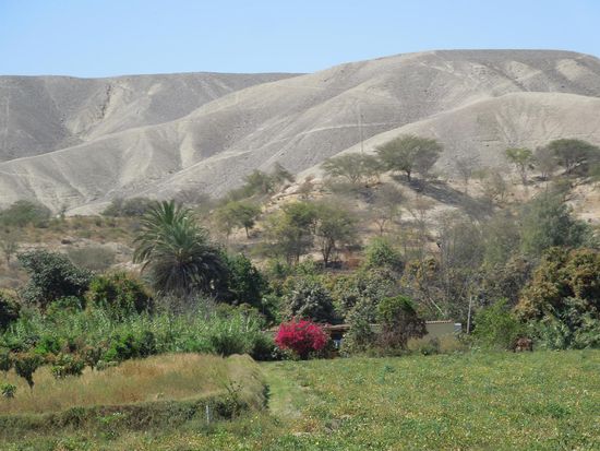 Grüne Oase mitten im staubigen Grau
