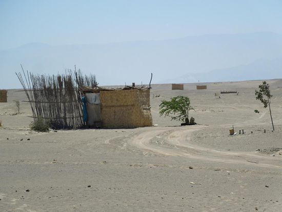 Mit solchen Basthütten kann man staatliches Land besetzen - und wird so über Nacht zum Landbesitzer