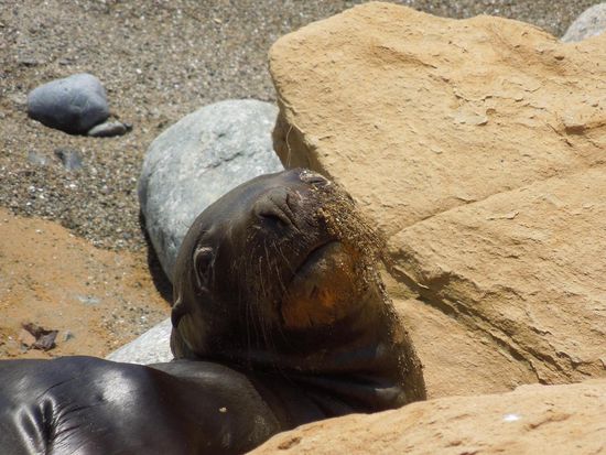 Hab ich was verpaßt?