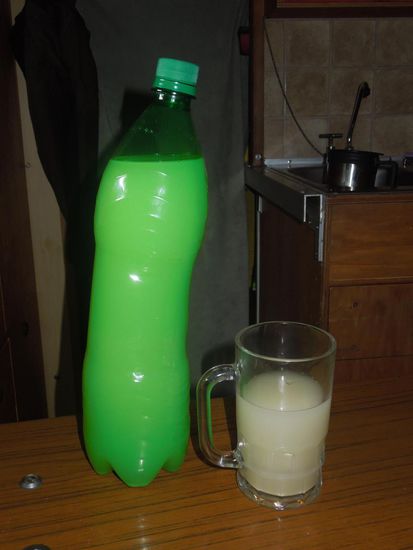 SALUD mit unserem Gingerbeer