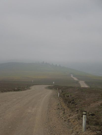 Von der Wüste ab ins Grün ...