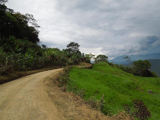 Viel Grün und Regenwolken im Hintergrund.