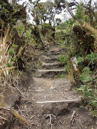 Der Weg ist das Ziel 