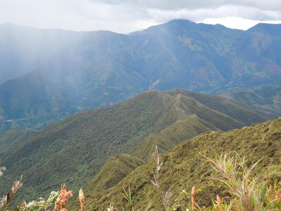 Ein Blick zurück auf den Kraterweg.