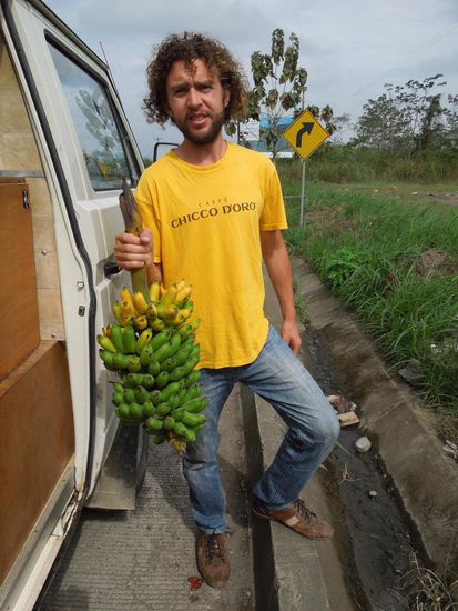 Naja, Begeisterung sieht anders aus! Habt ihr eine Vorstellung, was wir für die komplette Staude gelöhnt haben???