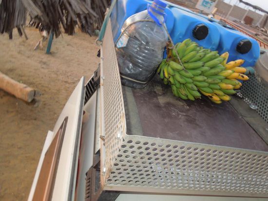 Bananis an Bord, angeschnallt und ready to go ...