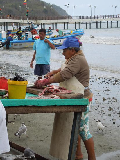 Direkt vor Ort wird filetiert.