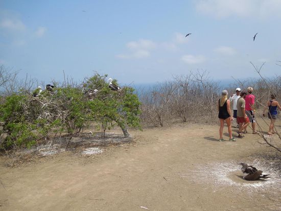 Kleine Wanderung auf der Insel mit Vogelbeobachtung.