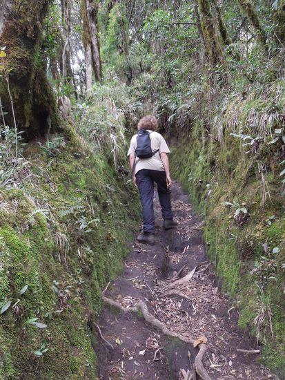 Durch diese hohle Gasse muss er gehen ...