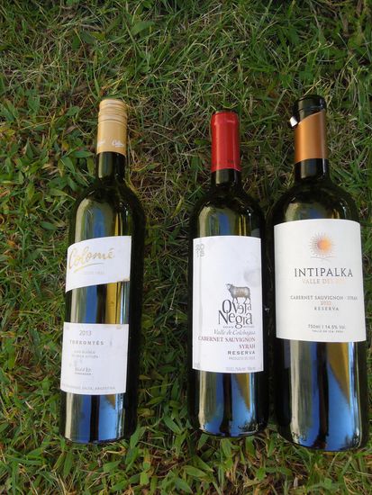 Dazwischen fehlt doch glatt noch die Flasche Malbec 2009 von Cecchin 