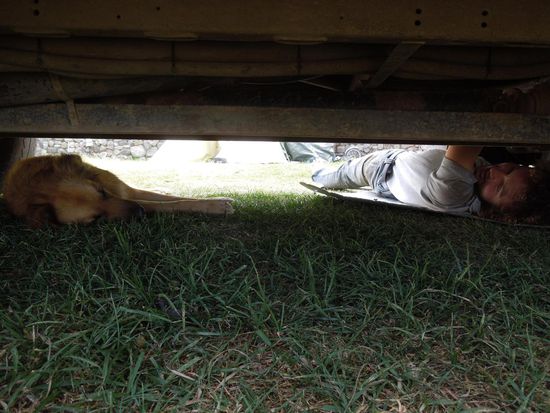 Unter Aufsicht bastelt Claudio an der Differentialsperre 