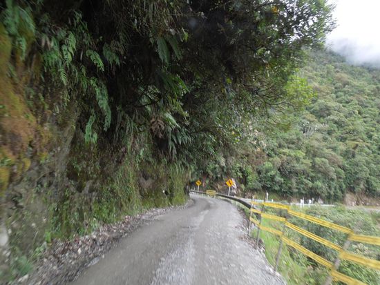 Gut in Schuß und schön begrünt - was will das Bussli mehr!