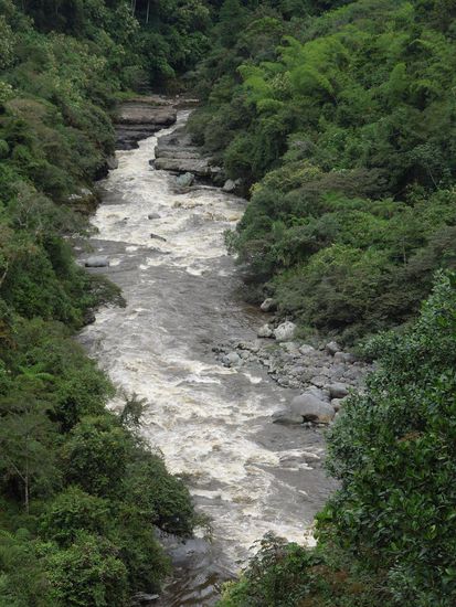 Hier verengt sich der Rìo Magdalena ganz natürlich.