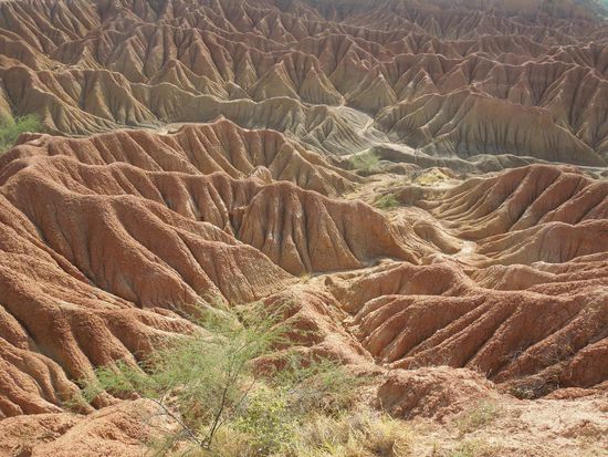 Kurios was die Natur so baut, oder?